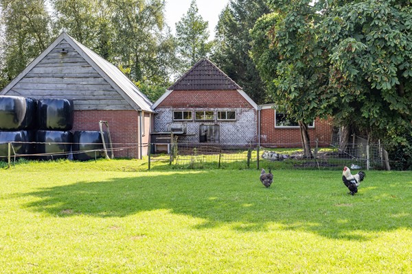 Medium property photo - Halbe Wiersemaweg 6, 9365 TB Niebert